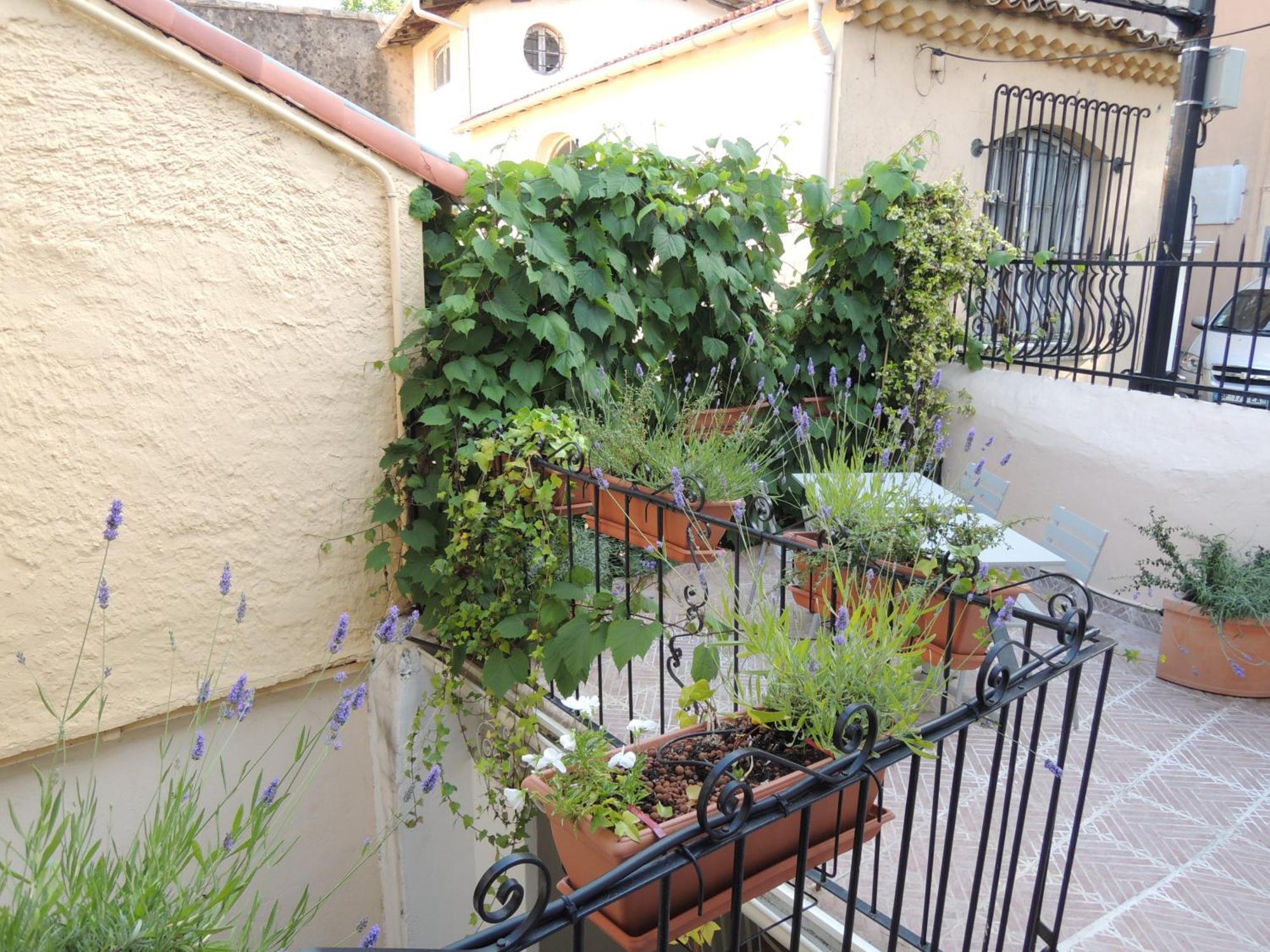 Acci Cannes Old City Стая снимка